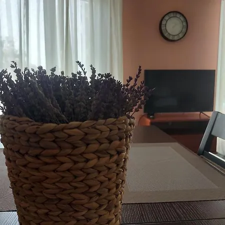 Holiday home πιθοσ ενοικιαζομενη κατοικια Kalamata